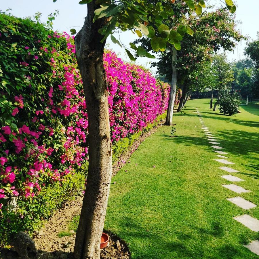 Trident Agra Agra (Uttar Pradesh) Exterior foto The campus